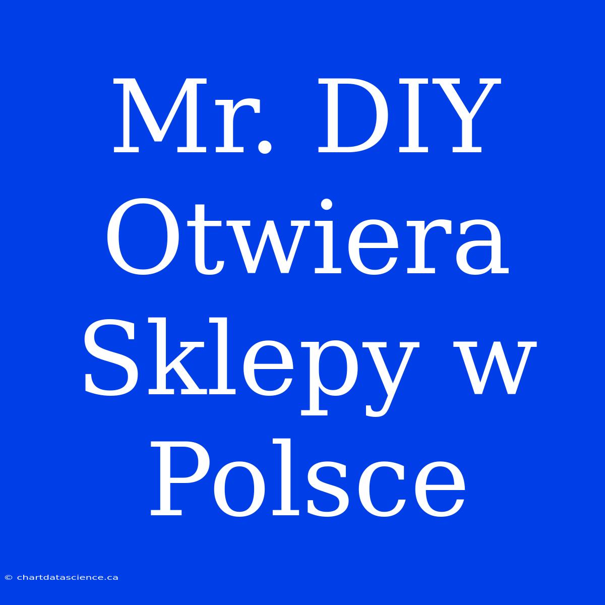 Mr. DIY Otwiera Sklepy W Polsce