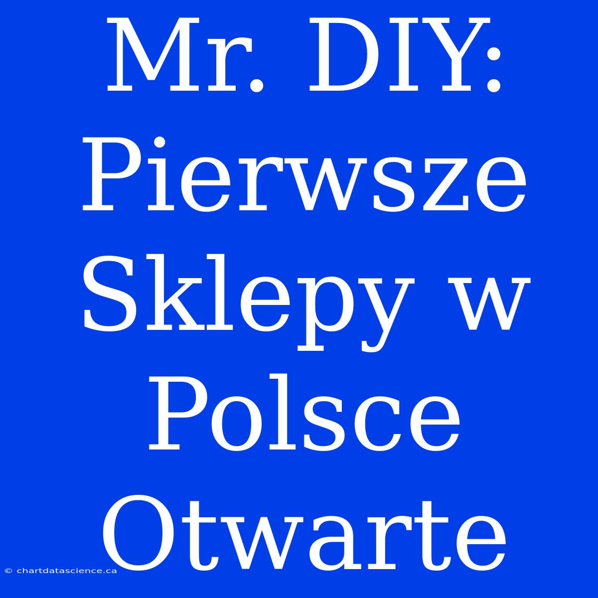 Mr. DIY: Pierwsze Sklepy W Polsce Otwarte