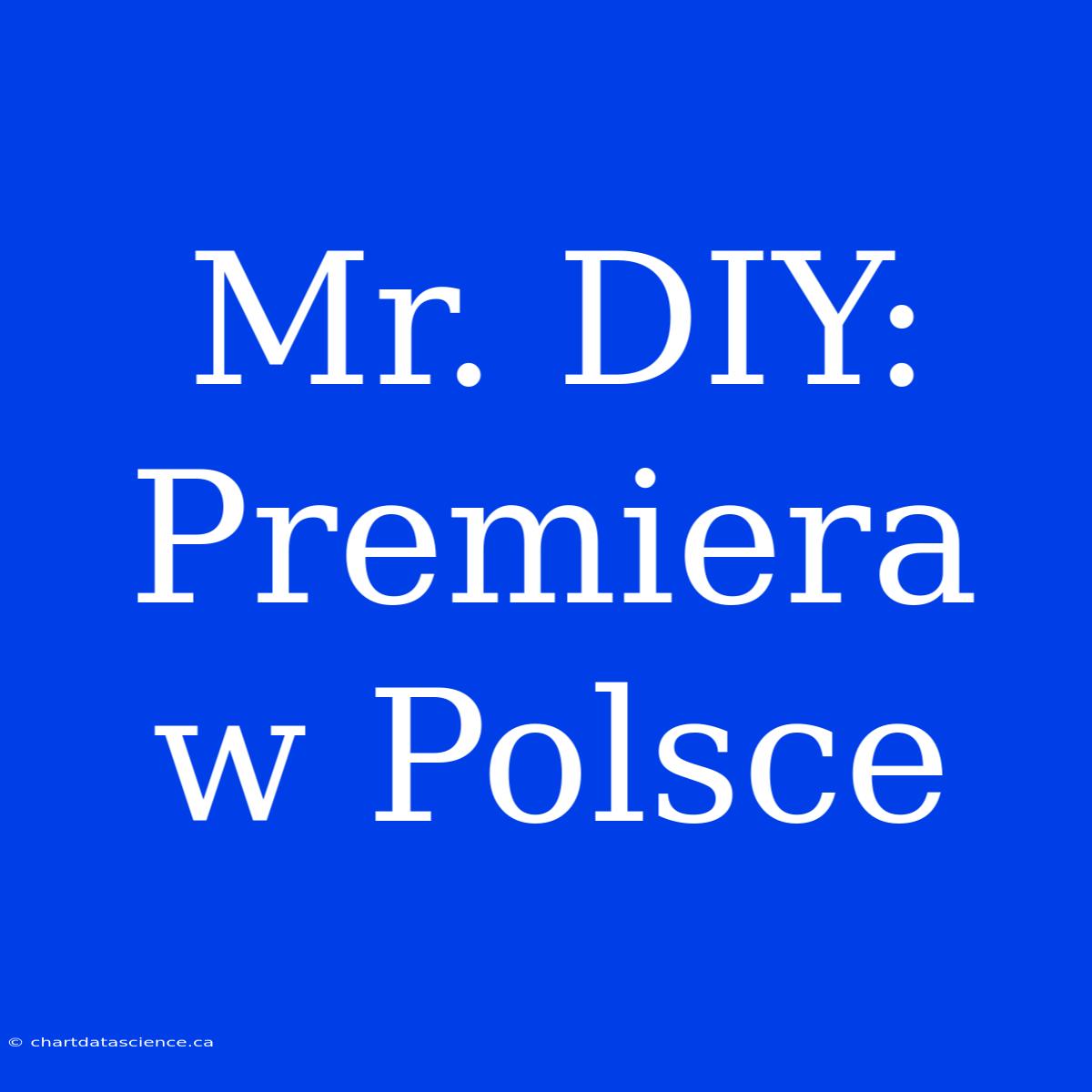 Mr. DIY: Premiera W Polsce