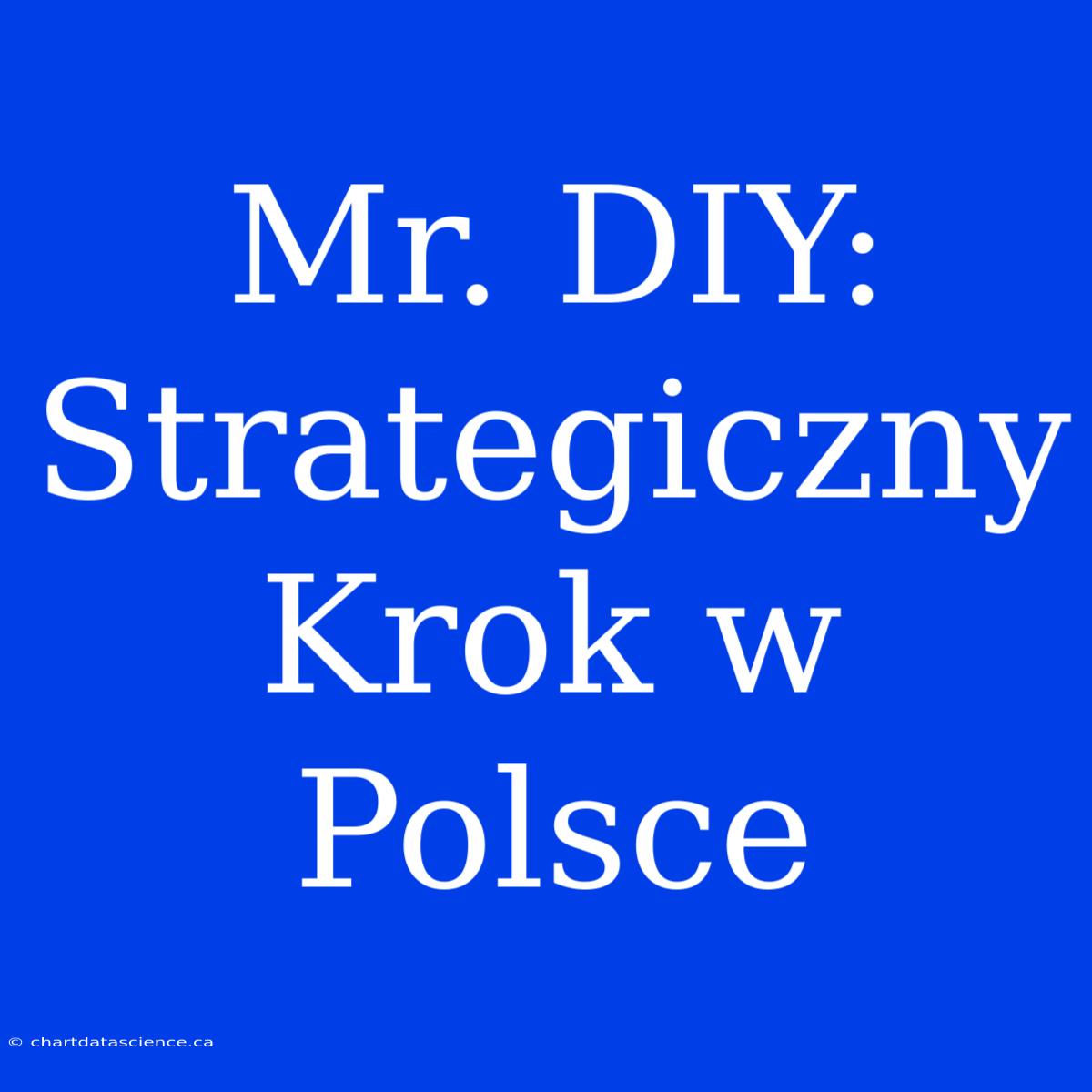 Mr. DIY: Strategiczny Krok W Polsce