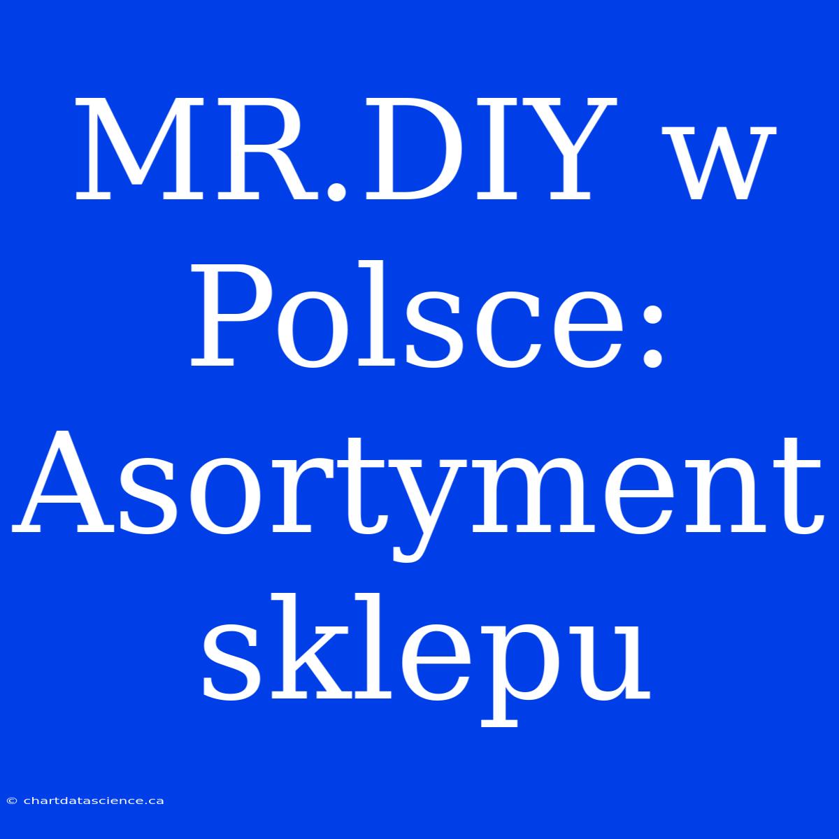 MR.DIY W Polsce: Asortyment Sklepu