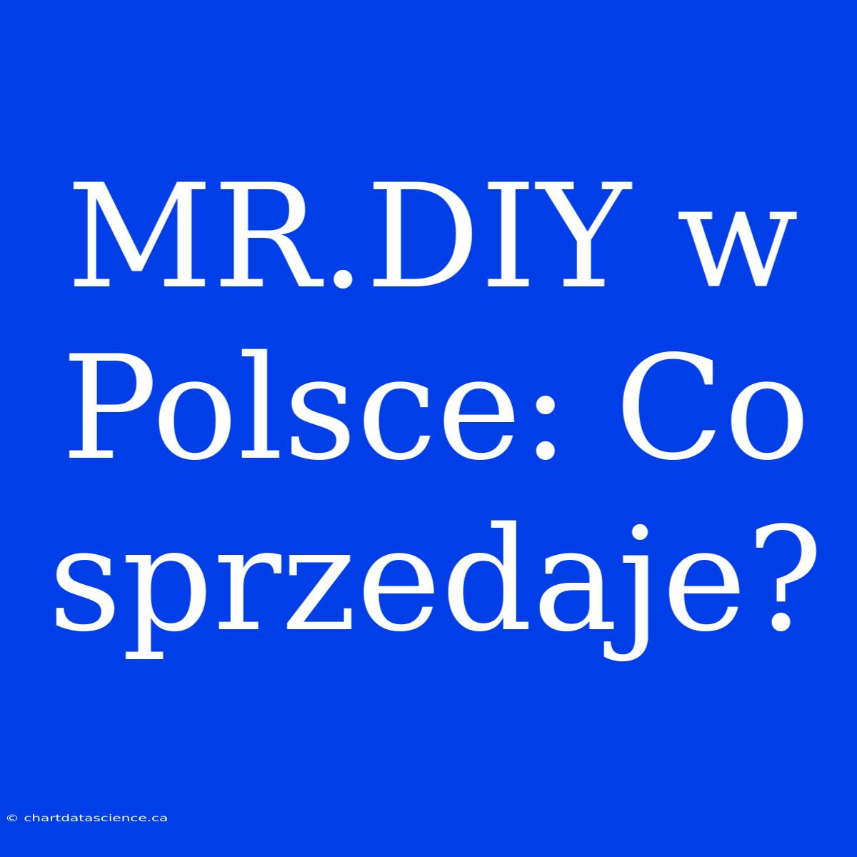 MR.DIY W Polsce: Co Sprzedaje?