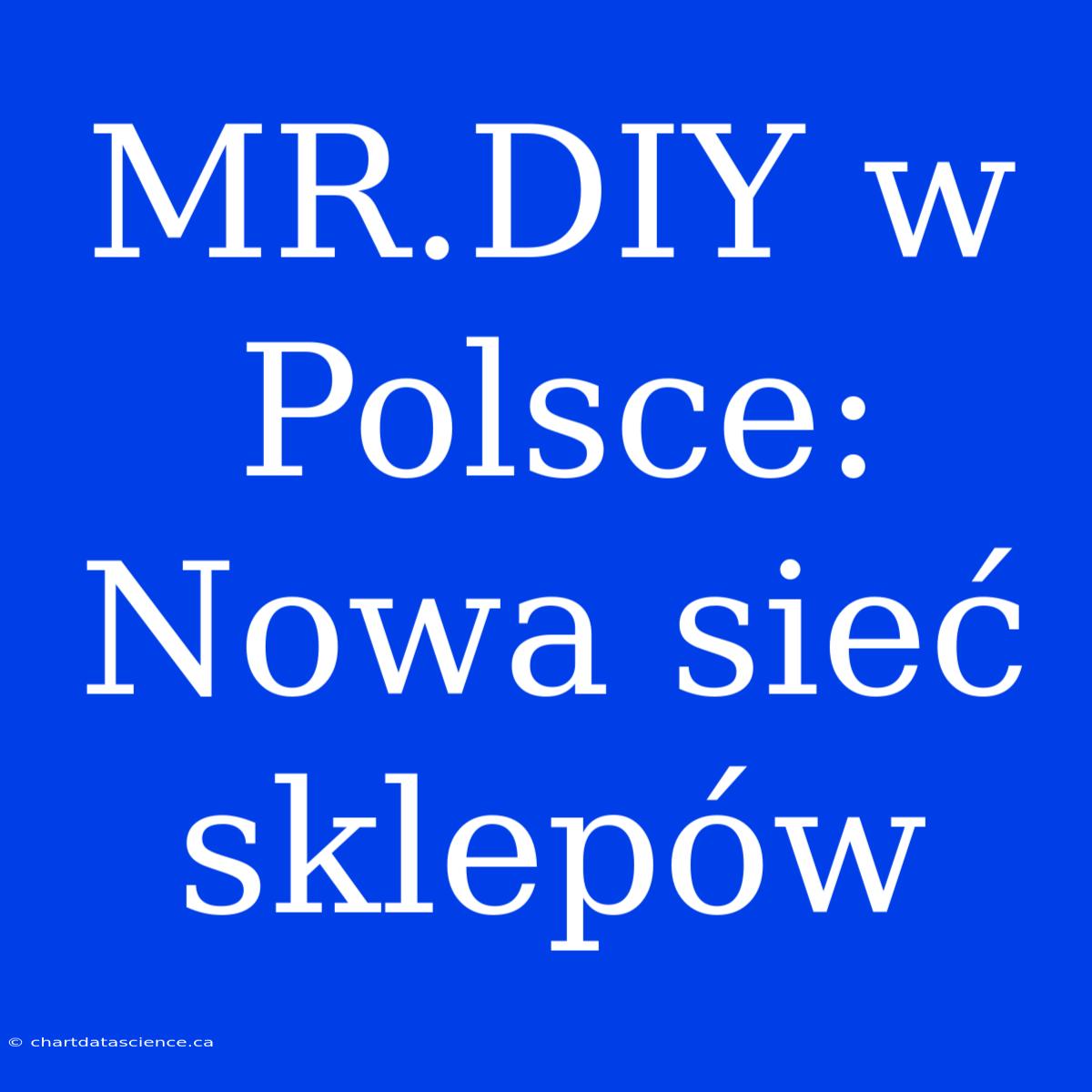 MR.DIY W Polsce: Nowa Sieć Sklepów