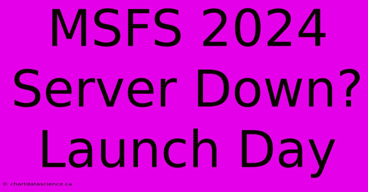 MSFS 2024 Server Down? Launch Day