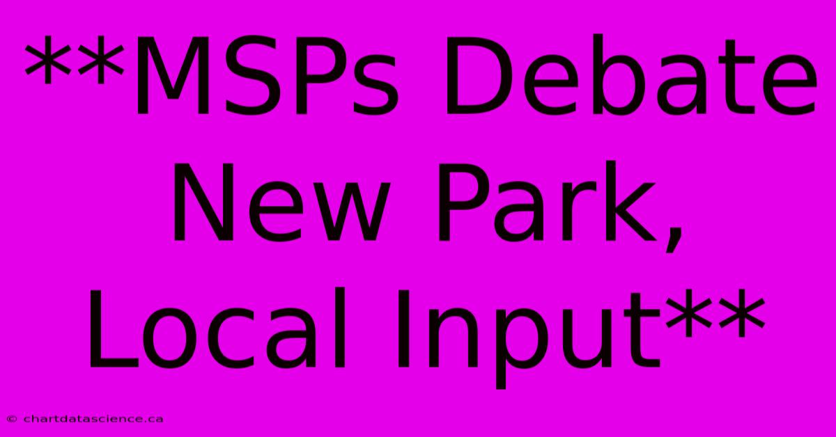 **MSPs Debate New Park, Local Input** 