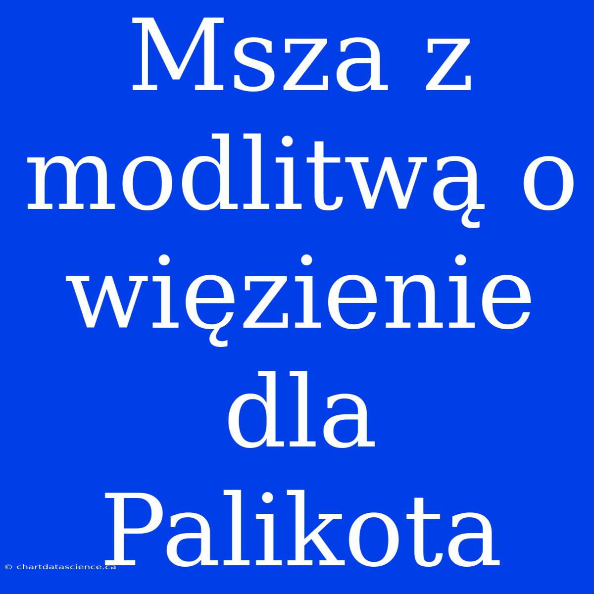 Msza Z Modlitwą O Więzienie Dla Palikota