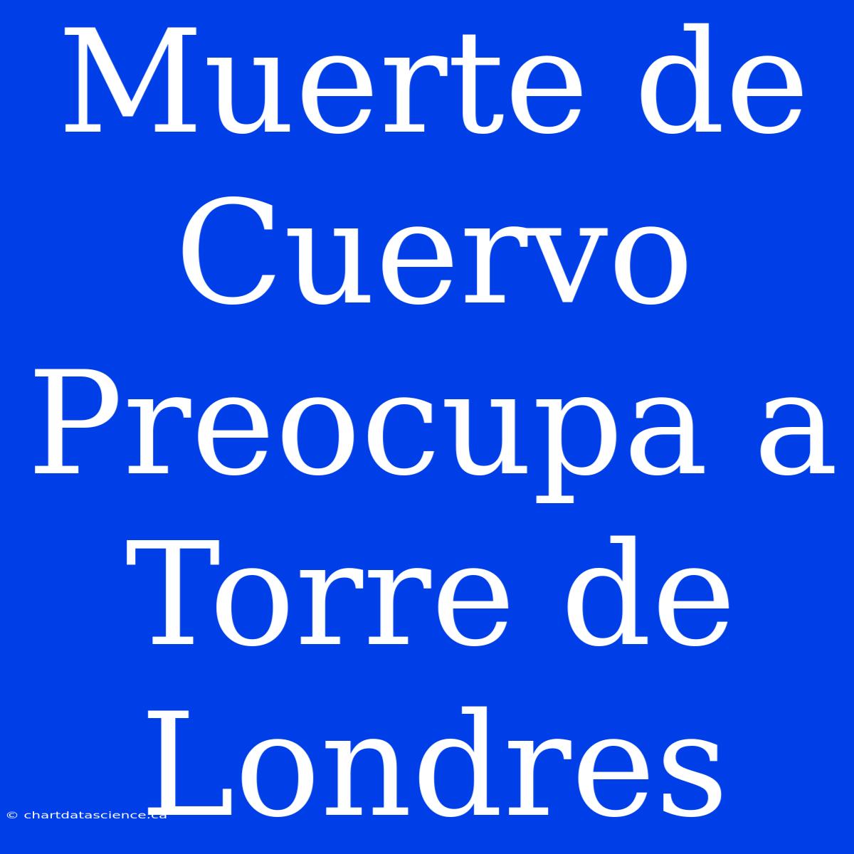 Muerte De Cuervo Preocupa A Torre De Londres