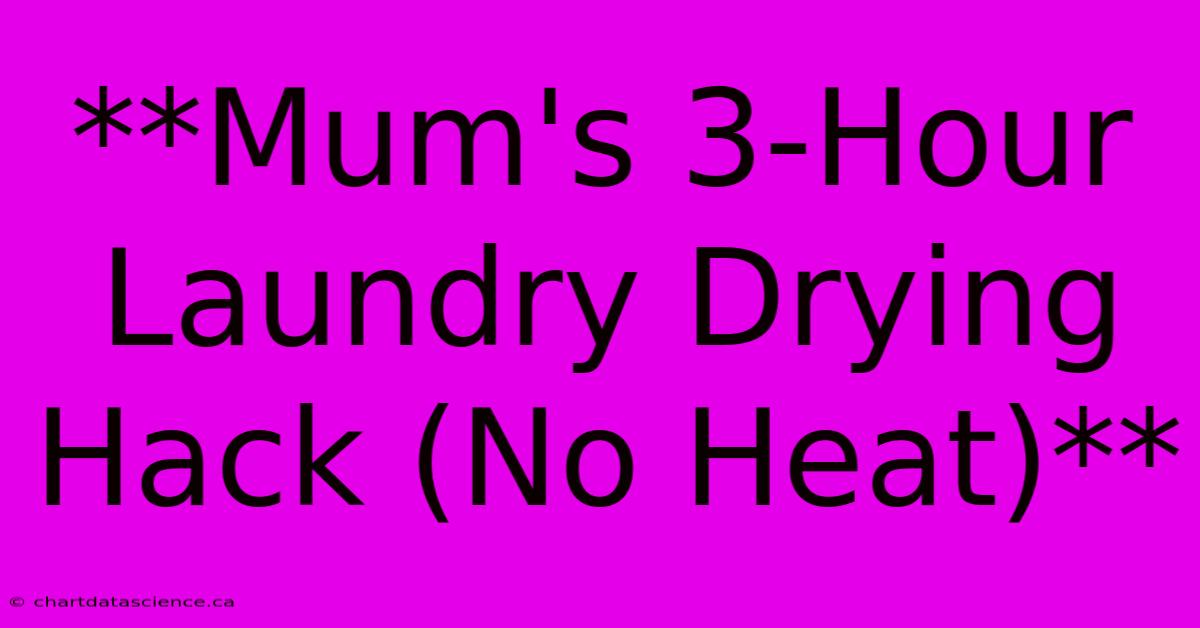 **Mum's 3-Hour Laundry Drying Hack (No Heat)**