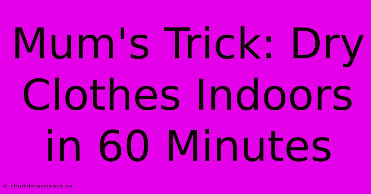 Mum's Trick: Dry Clothes Indoors In 60 Minutes