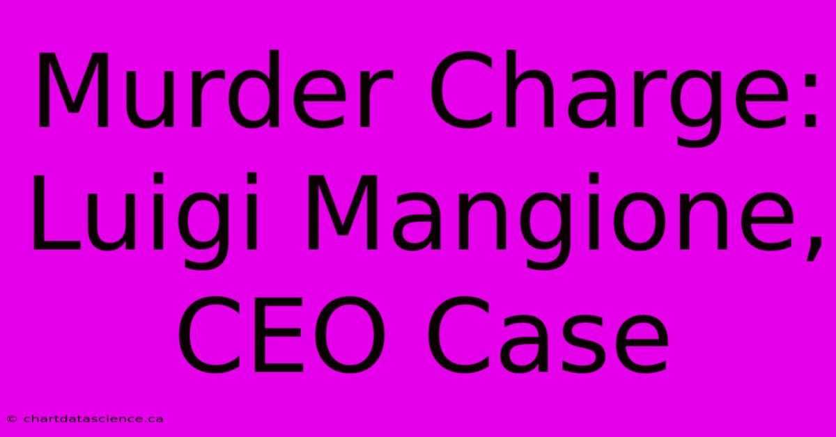 Murder Charge: Luigi Mangione, CEO Case