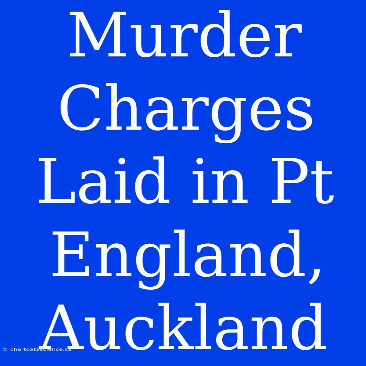 Murder Charges Laid In Pt England, Auckland