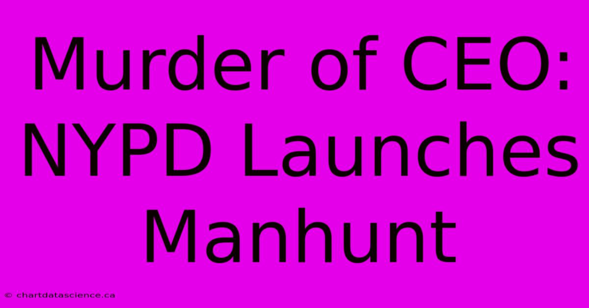 Murder Of CEO: NYPD Launches Manhunt