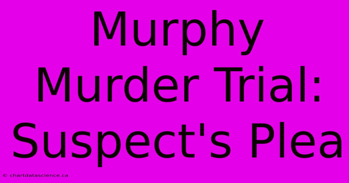 Murphy Murder Trial: Suspect's Plea