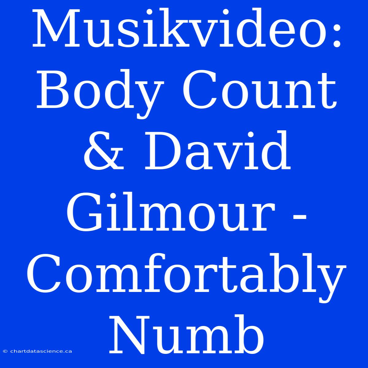 Musikvideo: Body Count & David Gilmour - Comfortably Numb