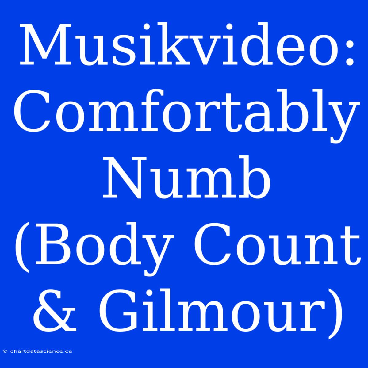 Musikvideo: Comfortably Numb (Body Count & Gilmour)