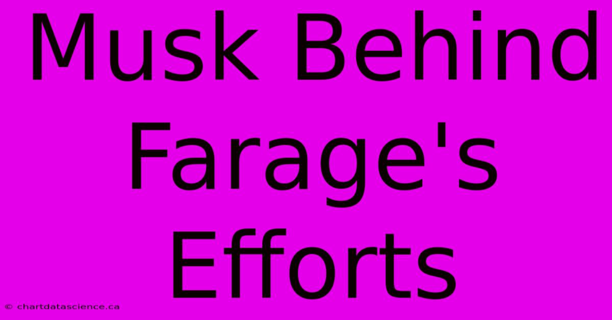 Musk Behind Farage's Efforts