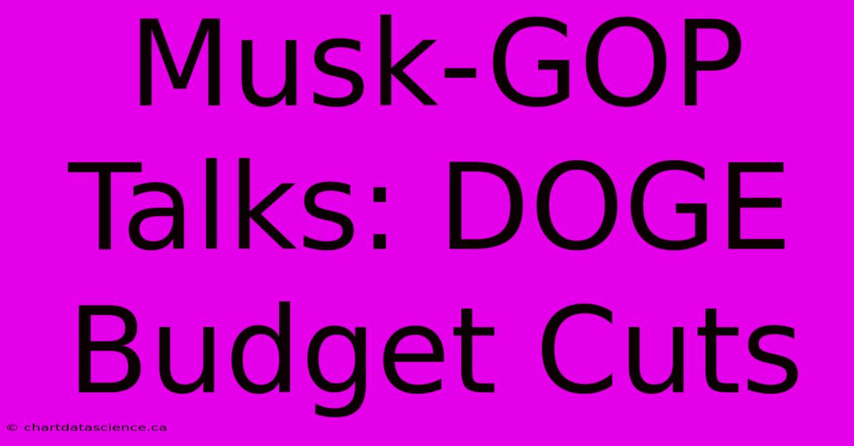 Musk-GOP Talks: DOGE Budget Cuts