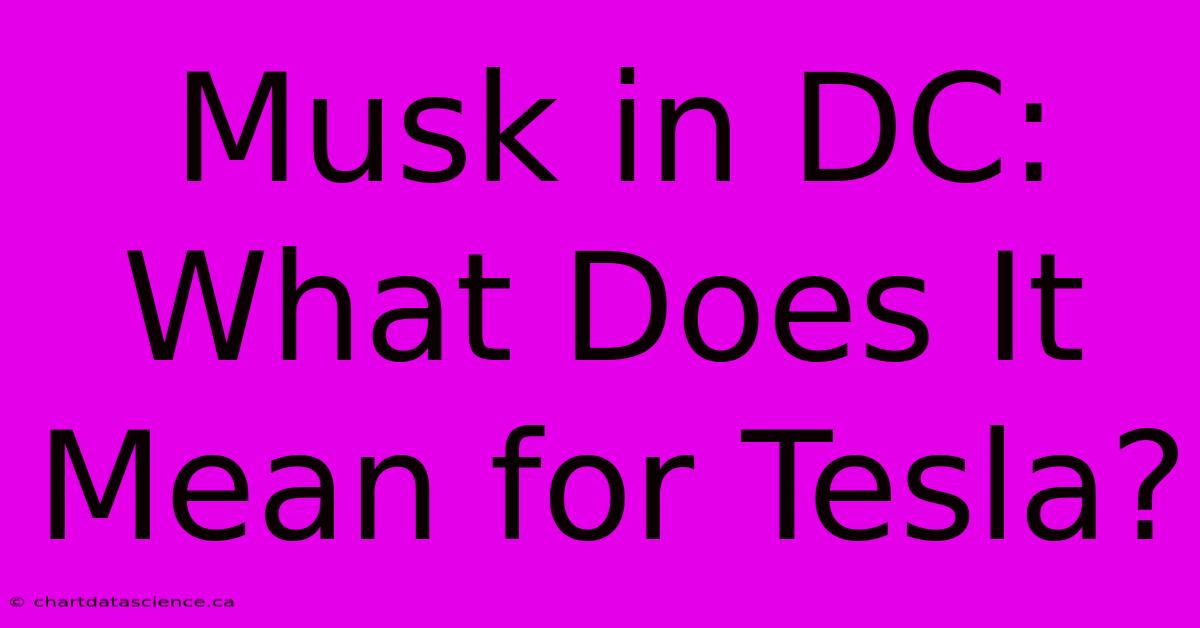 Musk In DC: What Does It Mean For Tesla? 