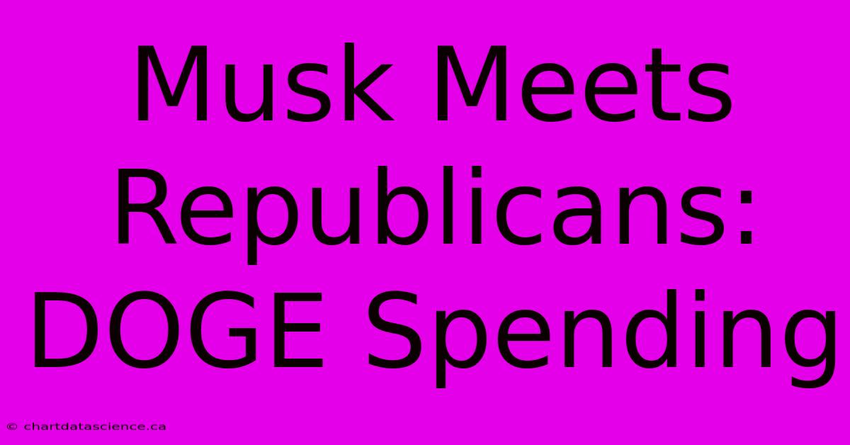 Musk Meets Republicans: DOGE Spending