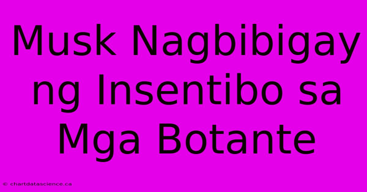 Musk Nagbibigay Ng Insentibo Sa Mga Botante 