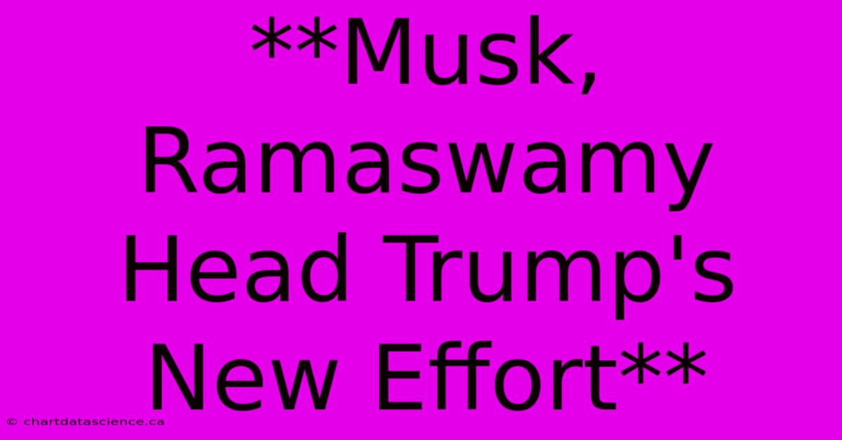 **Musk, Ramaswamy Head Trump's New Effort**