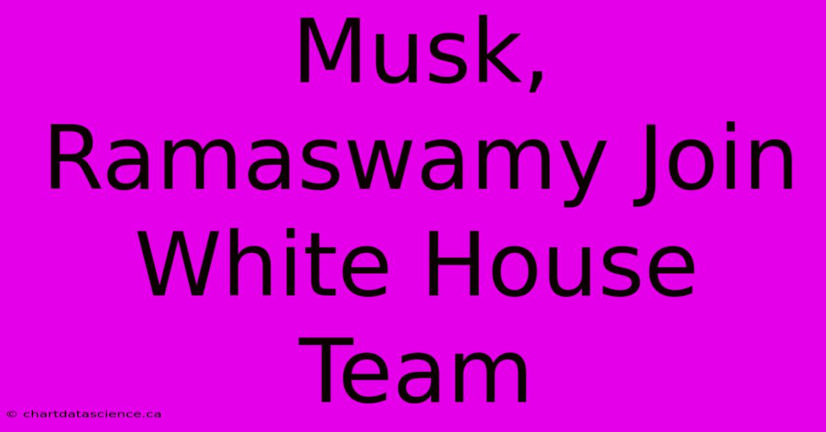 Musk, Ramaswamy Join White House Team