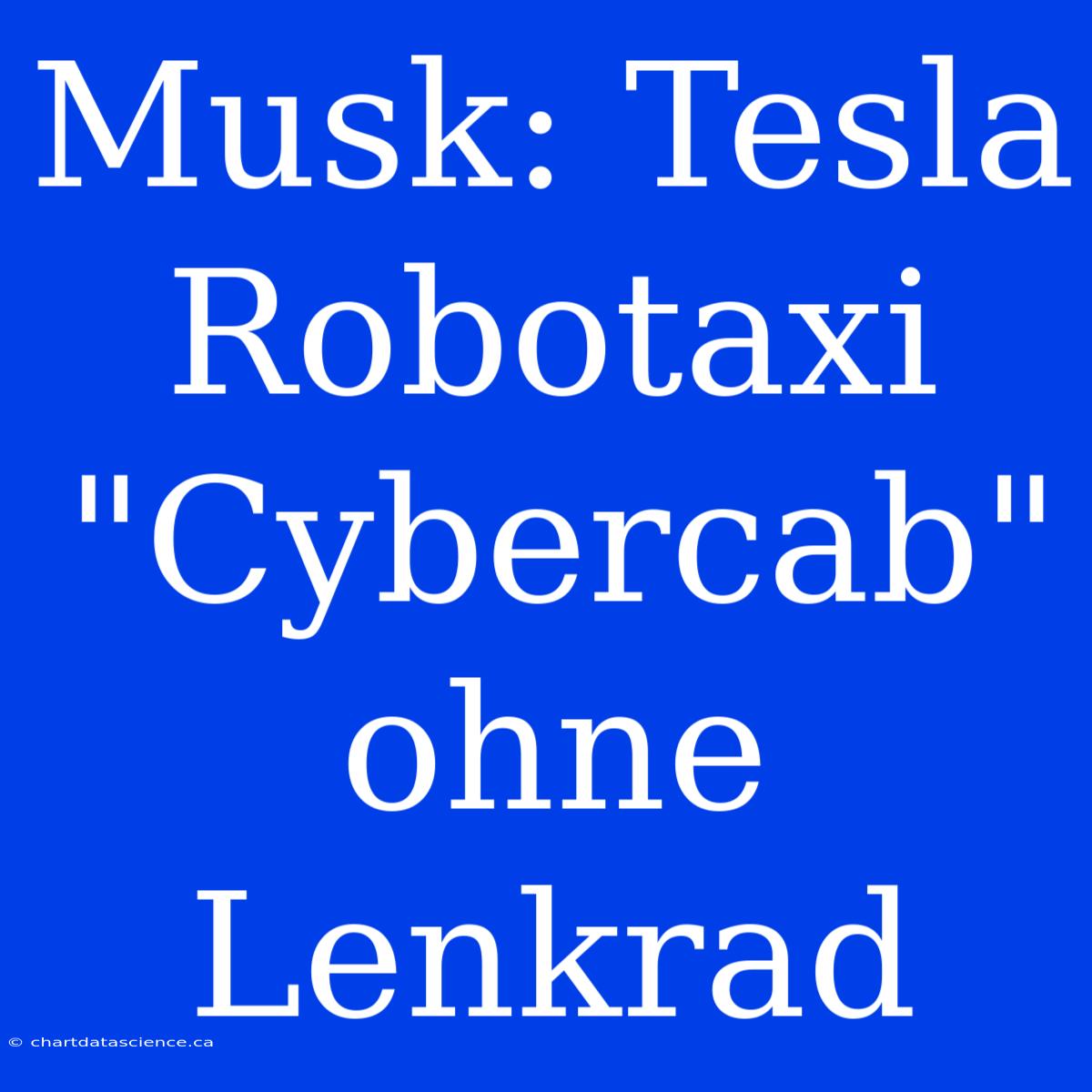 Musk: Tesla Robotaxi 