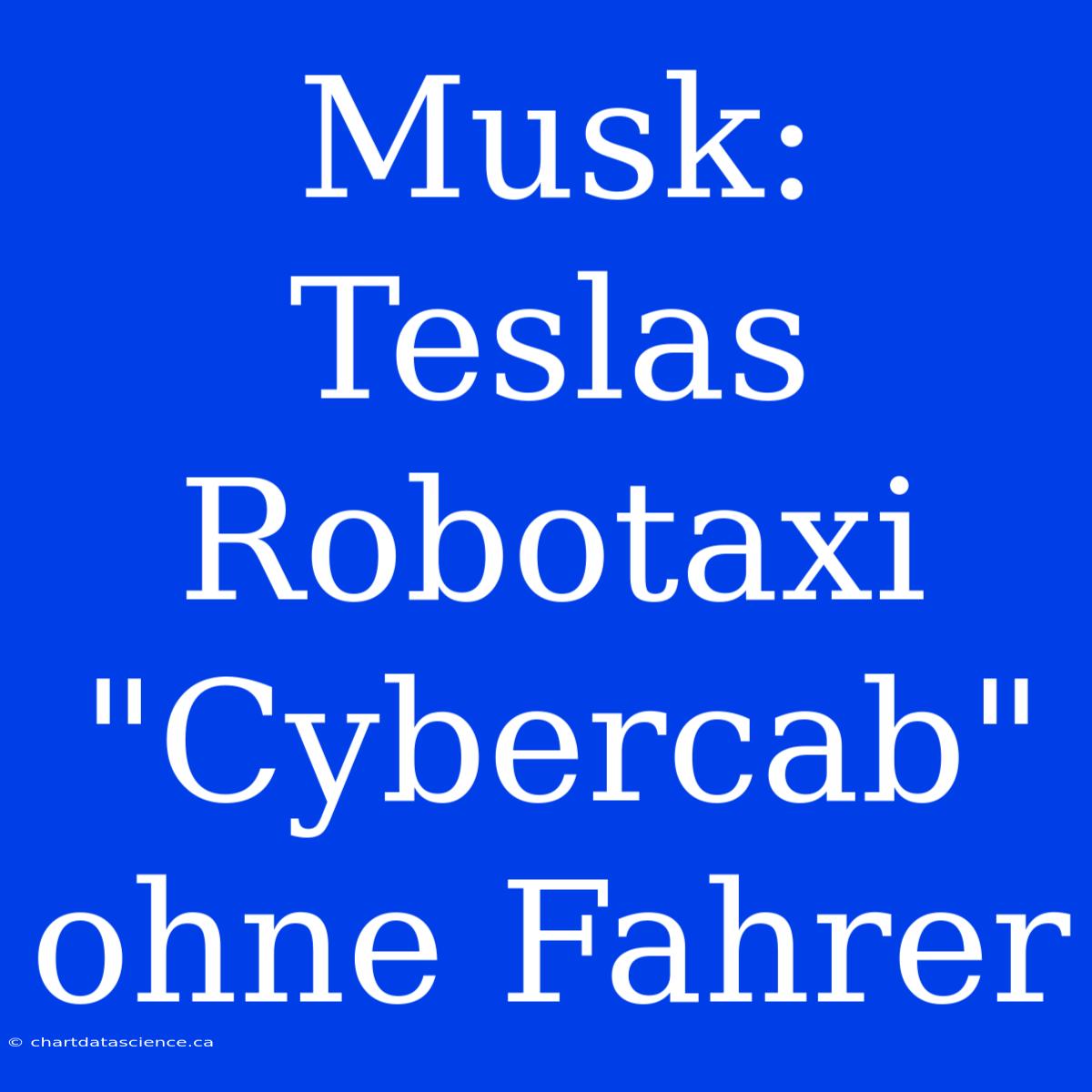 Musk: Teslas Robotaxi 