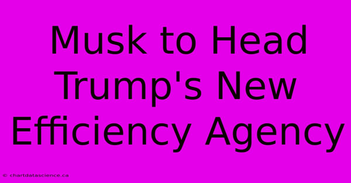 Musk To Head Trump's New Efficiency Agency