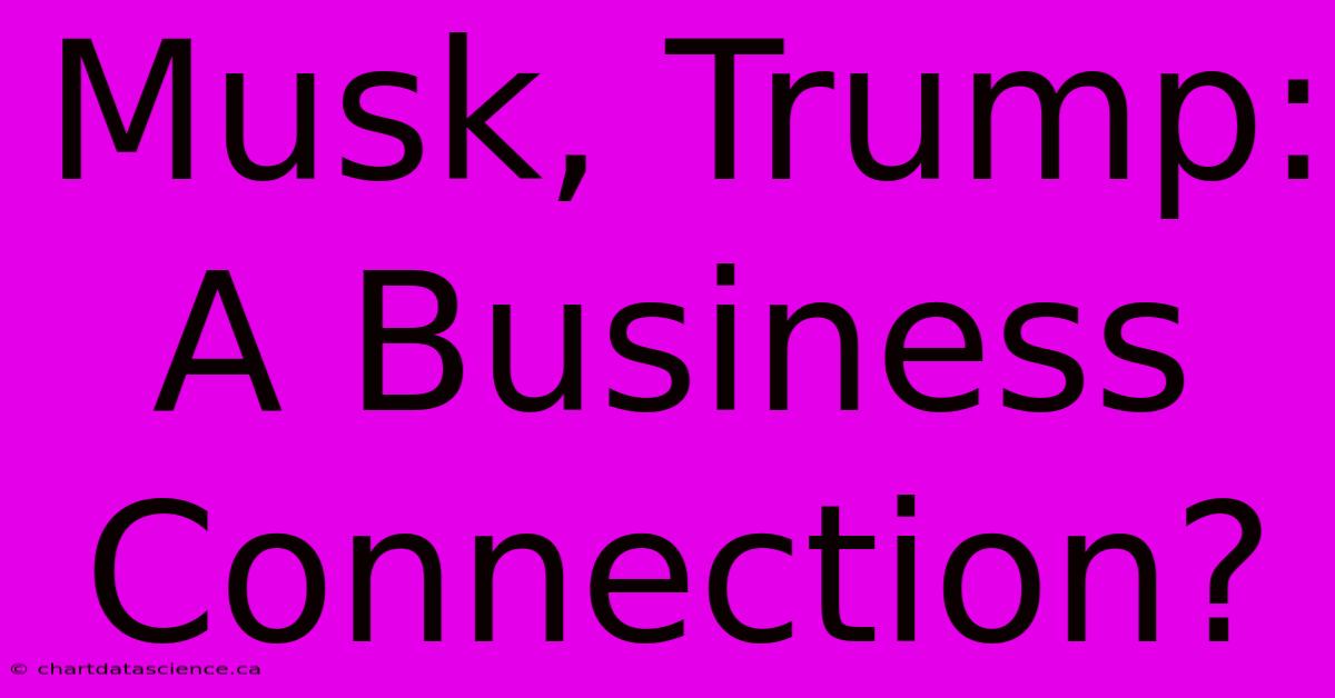 Musk, Trump: A Business Connection?