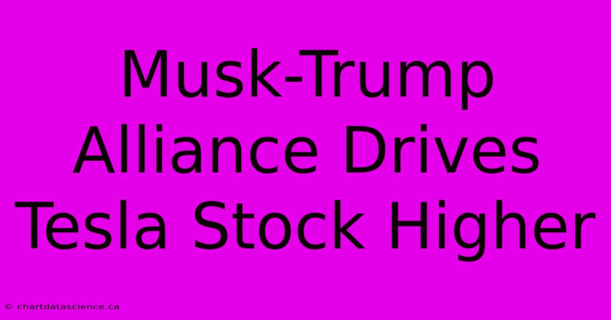 Musk-Trump Alliance Drives Tesla Stock Higher 