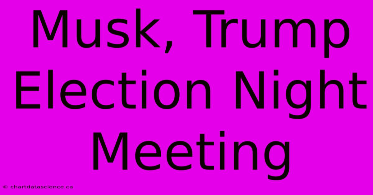 Musk, Trump Election Night Meeting