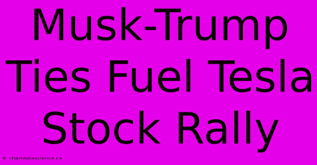 Musk-Trump Ties Fuel Tesla Stock Rally 