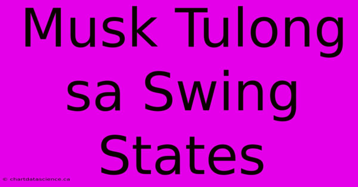 Musk Tulong Sa Swing States 