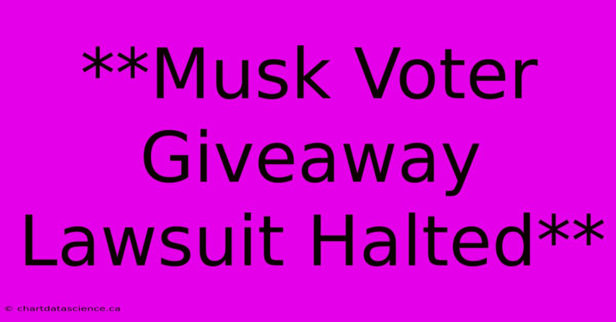 **Musk Voter Giveaway Lawsuit Halted**