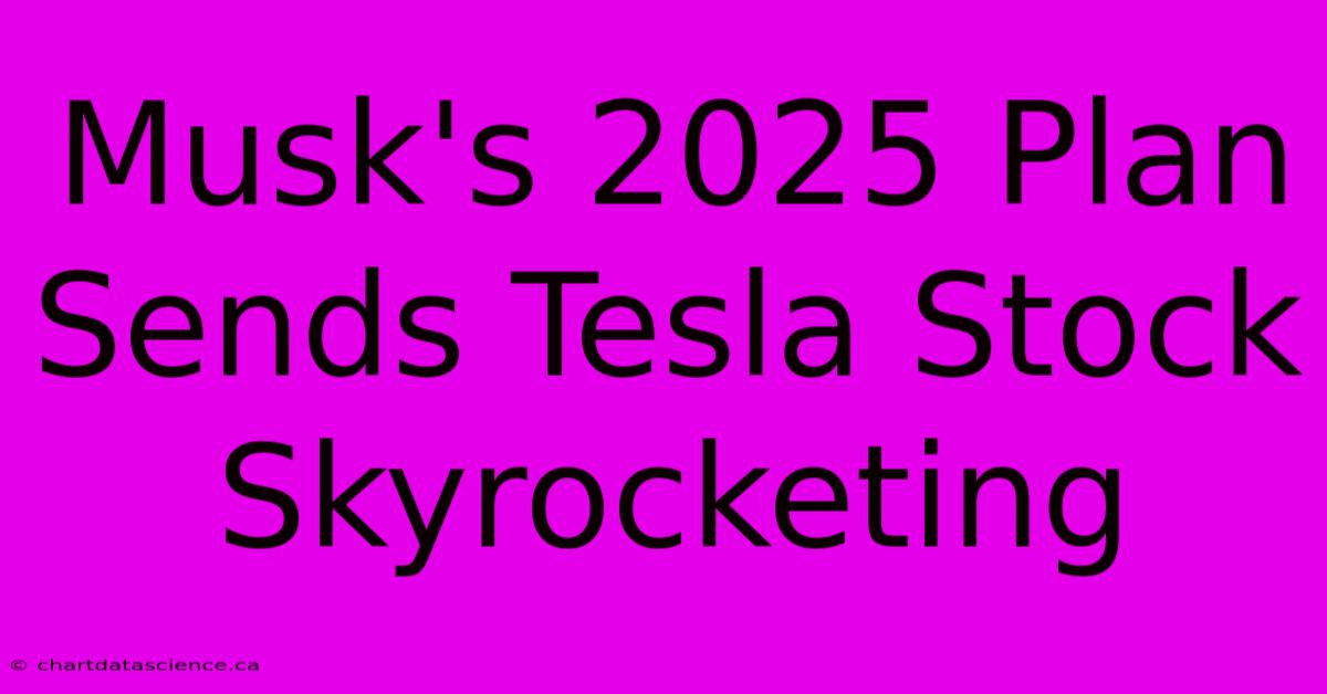 Musk's 2025 Plan Sends Tesla Stock Skyrocketing