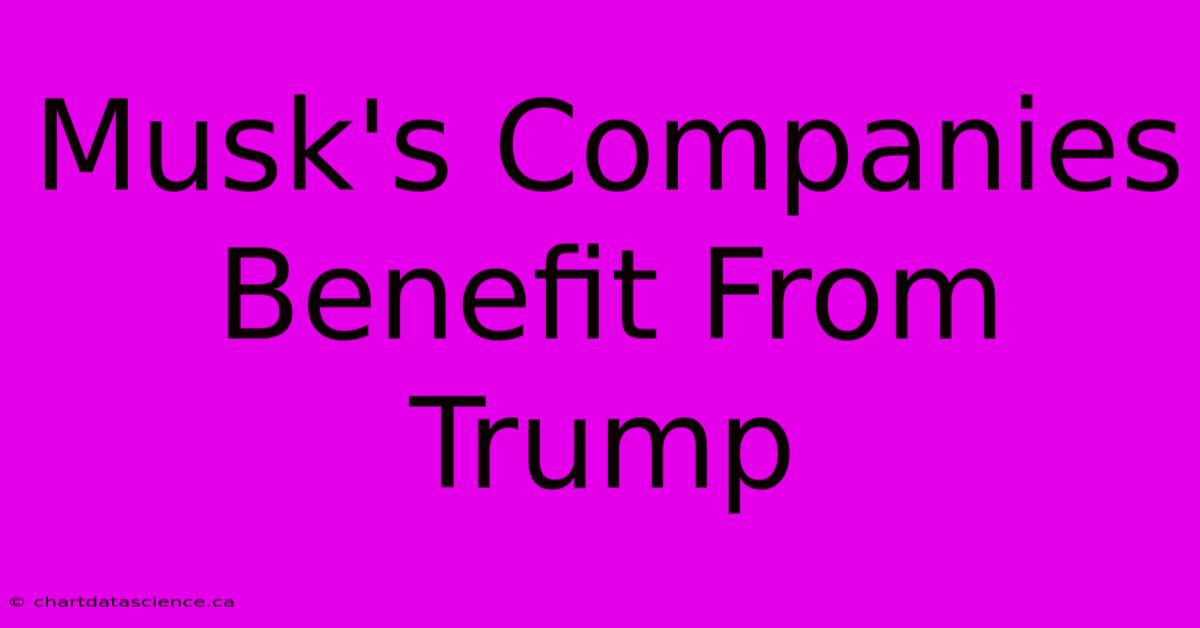 Musk's Companies Benefit From Trump