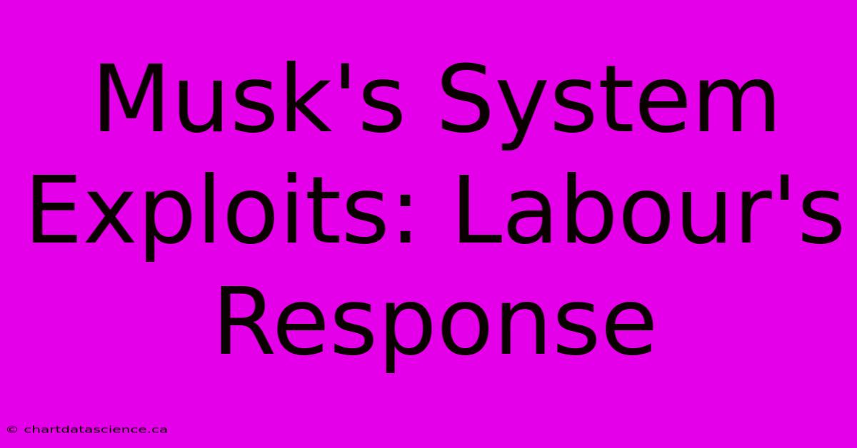 Musk's System Exploits: Labour's Response