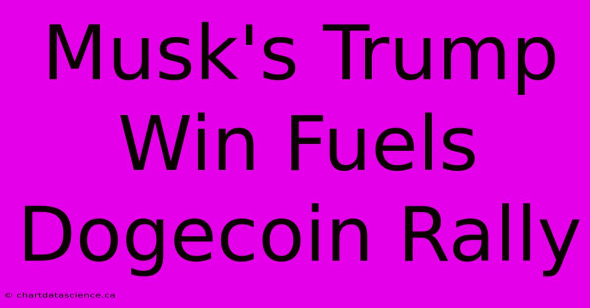 Musk's Trump Win Fuels Dogecoin Rally