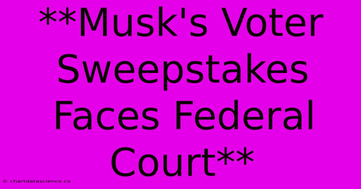 **Musk's Voter Sweepstakes Faces Federal Court**