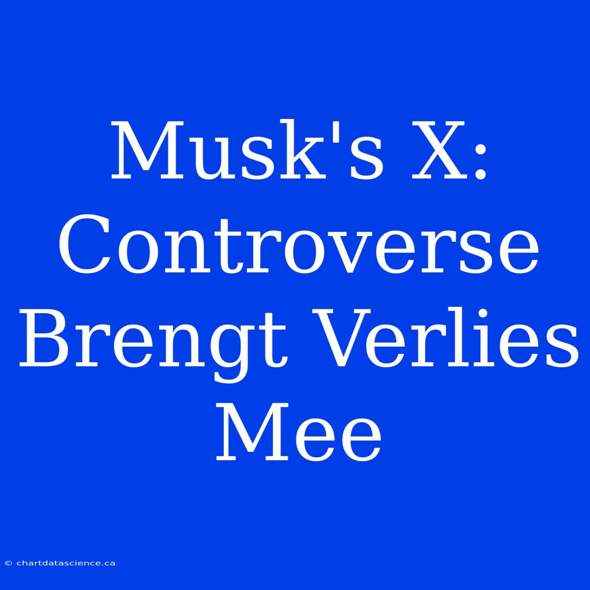 Musk's X: Controverse Brengt Verlies Mee