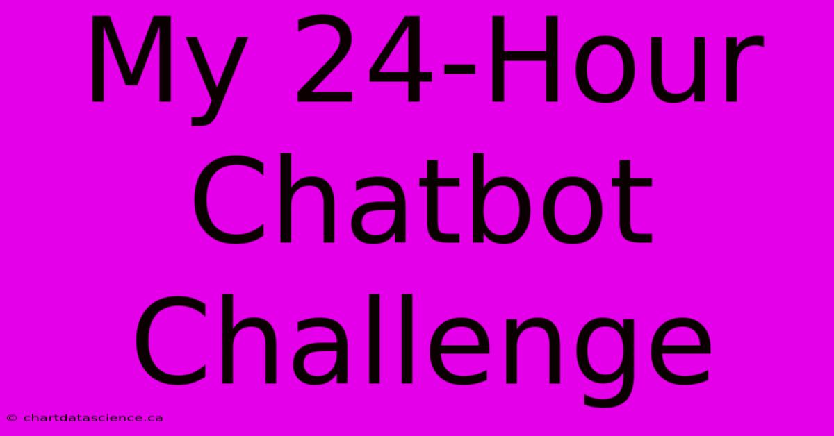 My 24-Hour Chatbot Challenge