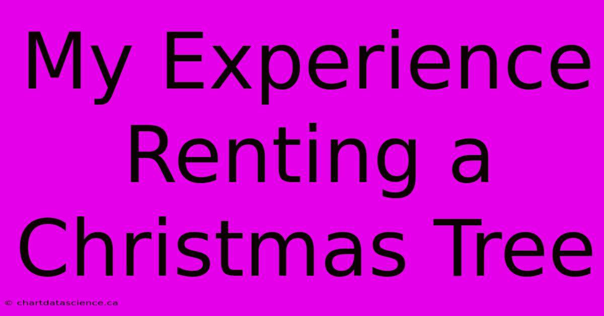 My Experience Renting A Christmas Tree