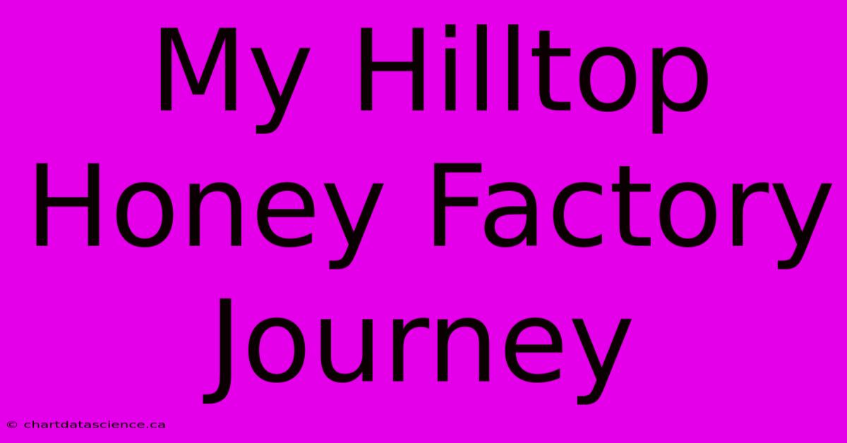 My Hilltop Honey Factory Journey