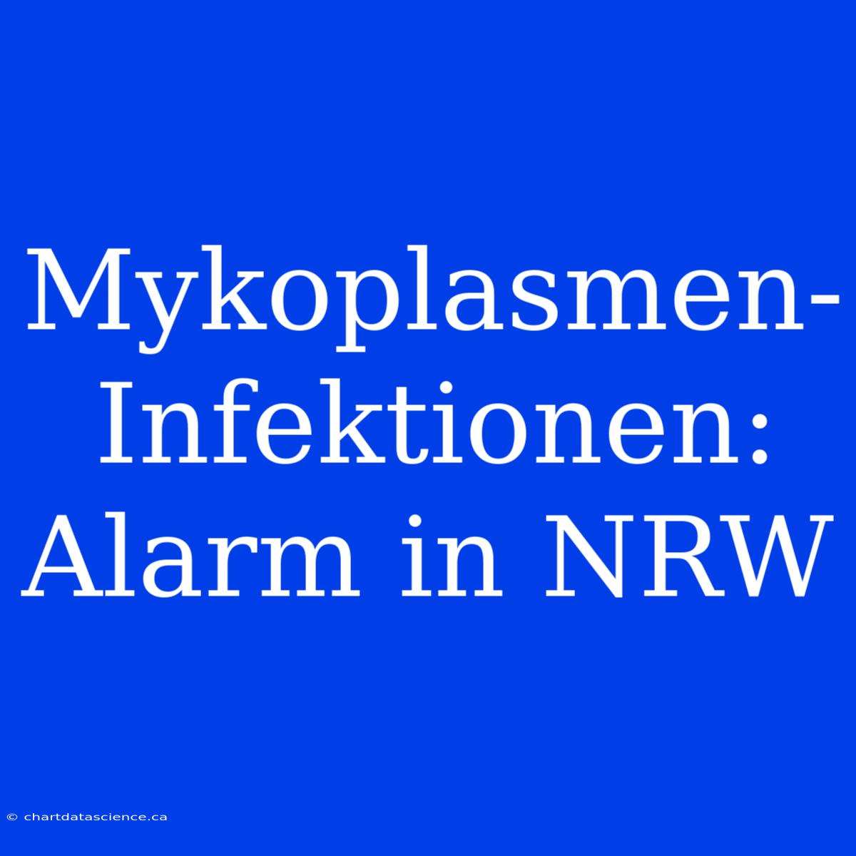 Mykoplasmen-Infektionen: Alarm In NRW