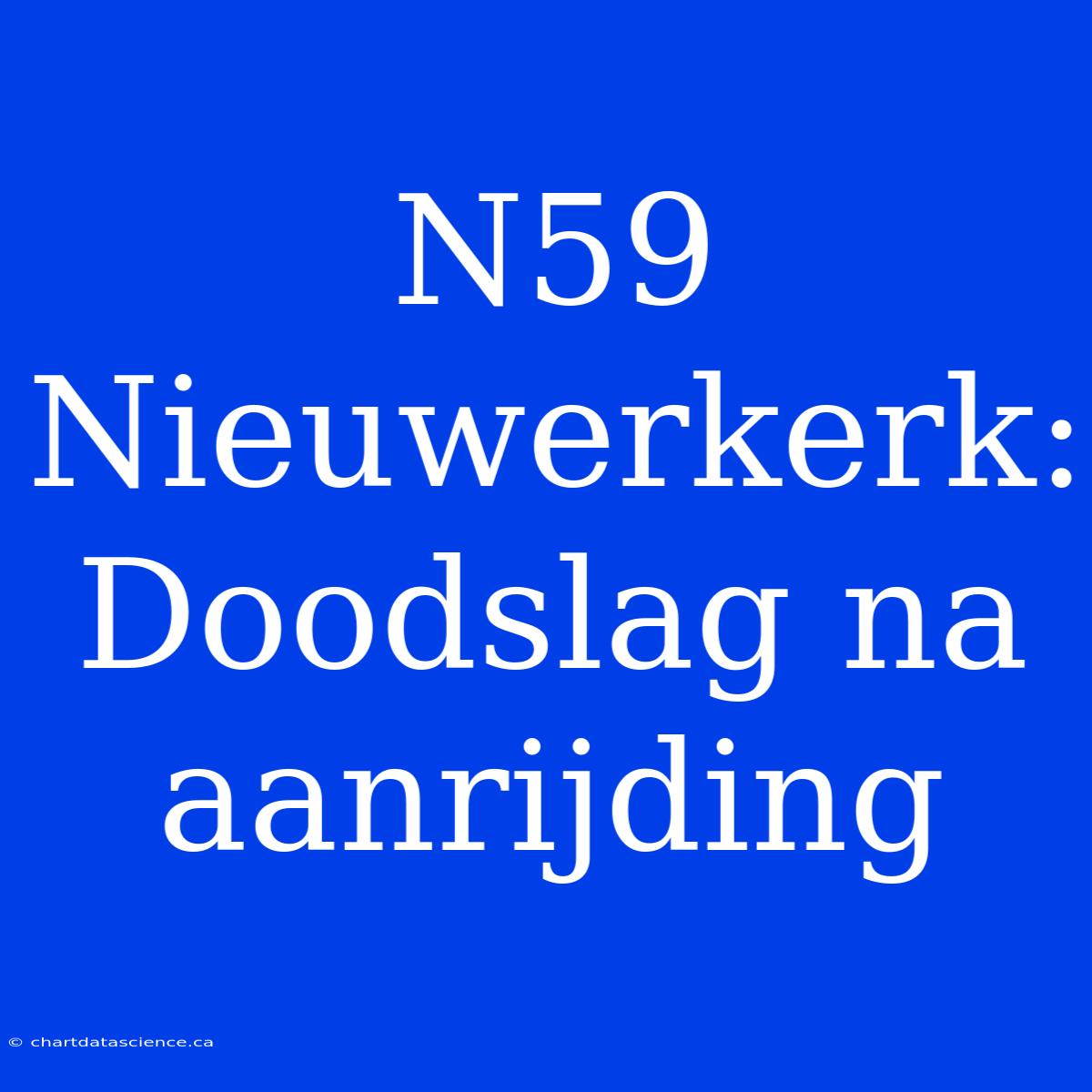 N59 Nieuwerkerk: Doodslag Na Aanrijding