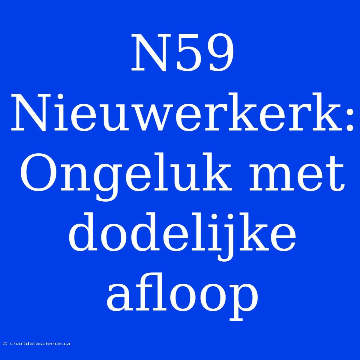 N59 Nieuwerkerk: Ongeluk Met Dodelijke Afloop