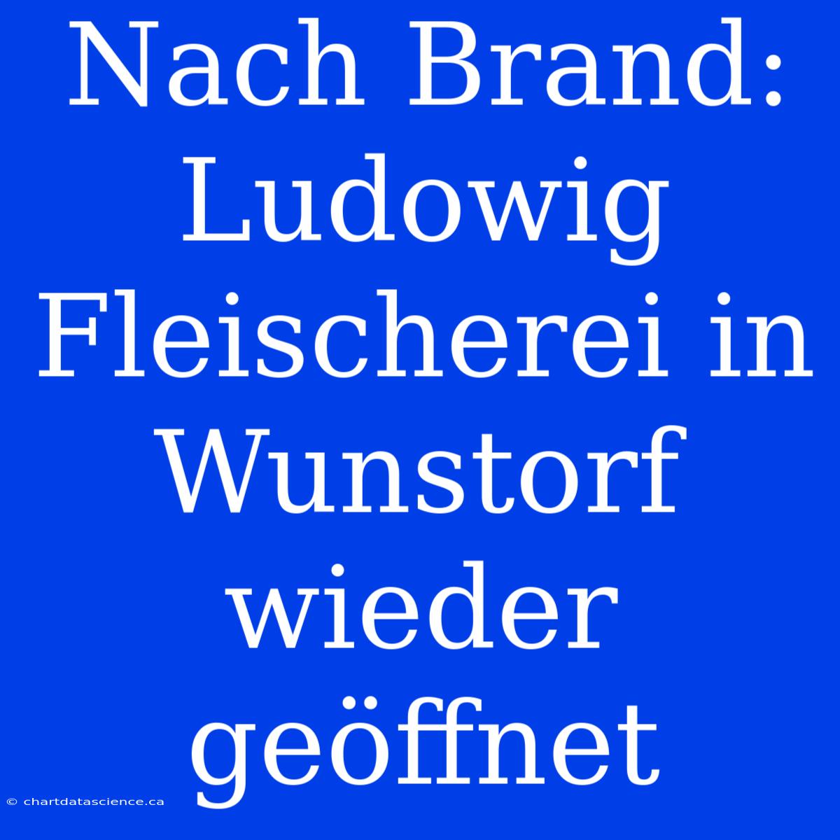 Nach Brand: Ludowig Fleischerei In Wunstorf Wieder Geöffnet