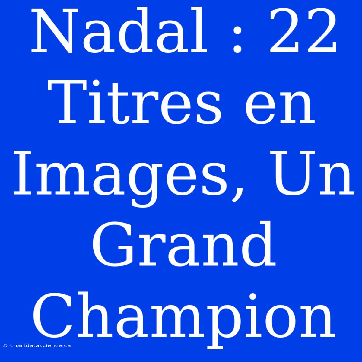 Nadal : 22 Titres En Images, Un Grand Champion