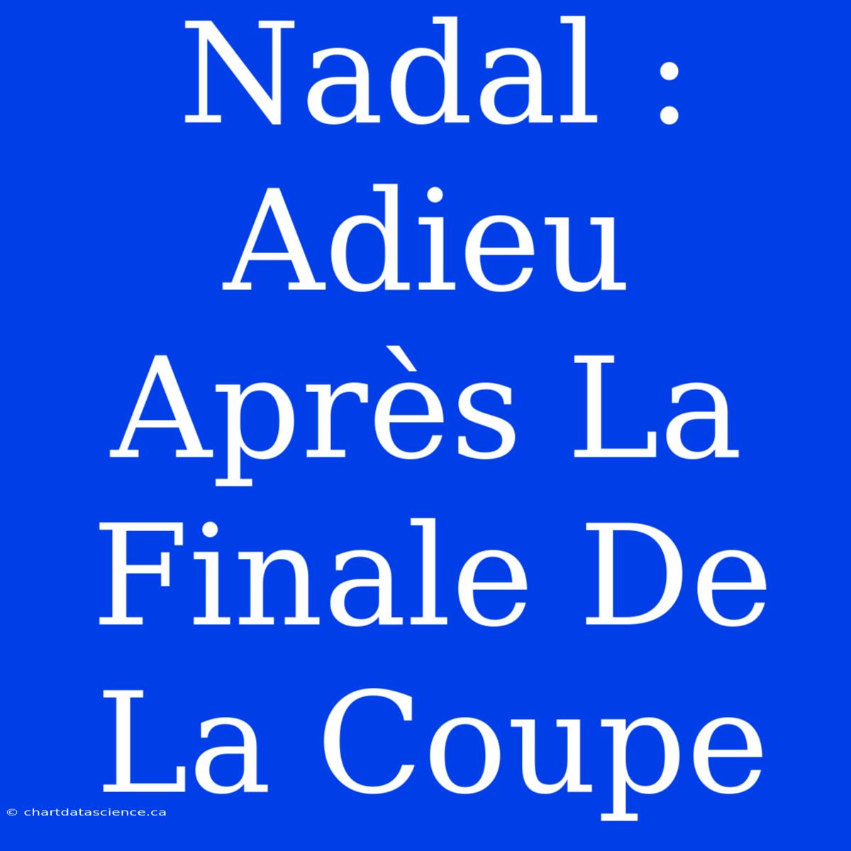 Nadal : Adieu Après La Finale De La Coupe